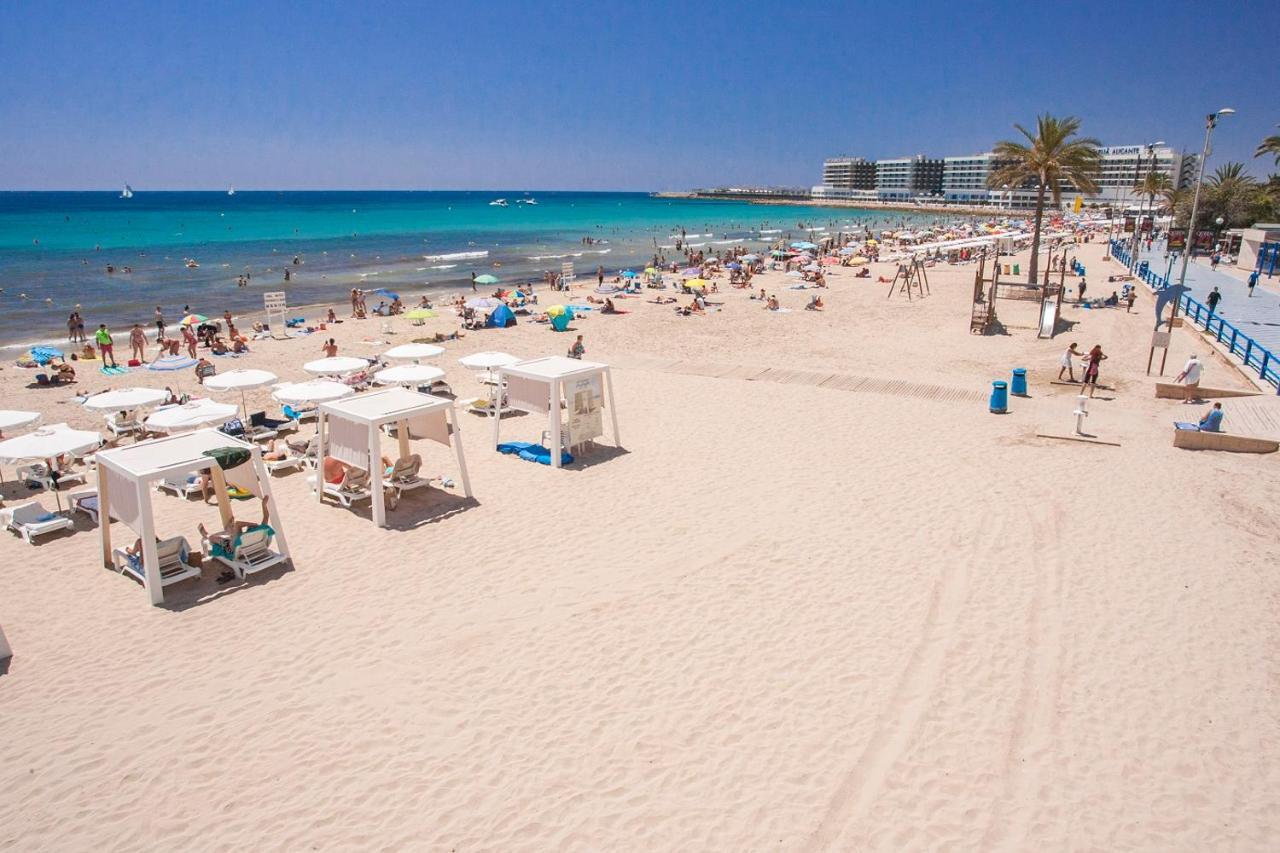 Large Apartment With Large And Sunny Terrace - Garden & Outdoor Gym , Alicante Center 外观 照片