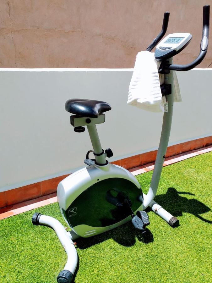 Large Apartment With Large And Sunny Terrace - Garden & Outdoor Gym , Alicante Center 外观 照片